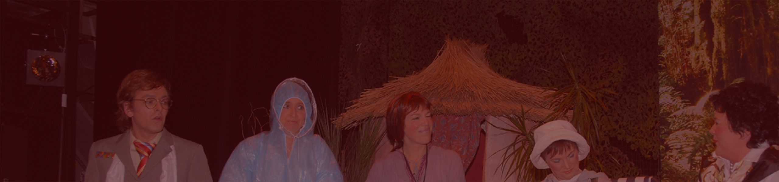 2008 Niets is voor altijd